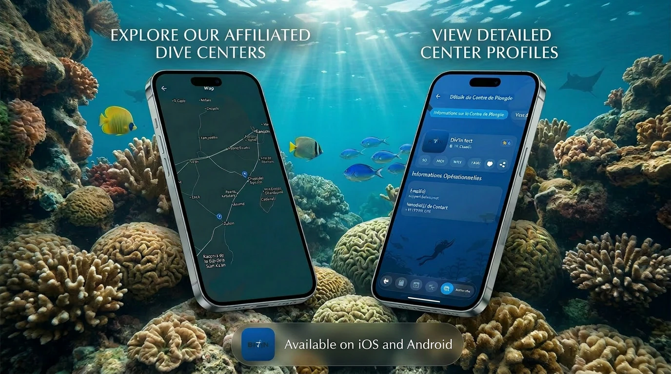Search & Discover